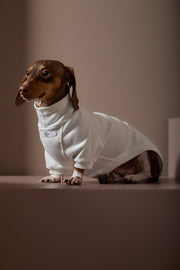 Dachshund Cream Turtleneck Sweater COVE