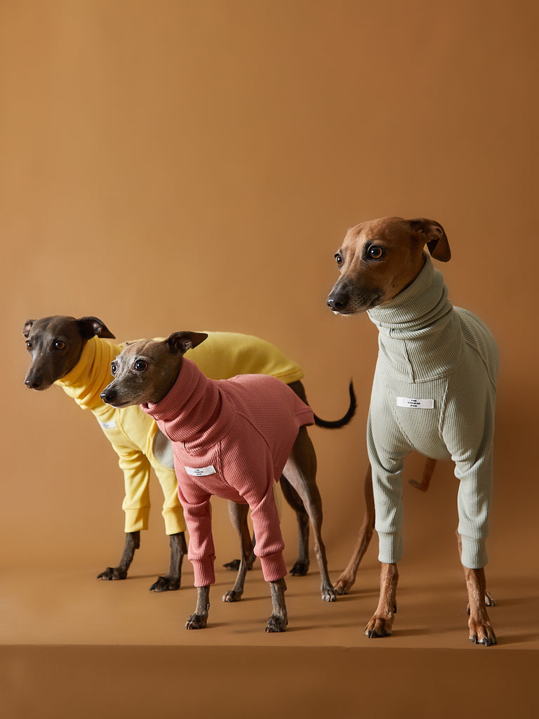 Italian Greyhound / Whippet Ribbed Turtleneck Sweater TULERIE