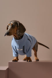 Dachshund Light Blue Turtleneck Sweater CAIRO