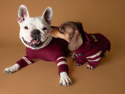 Dachshund Burgundy Christmas Sweater HOHOHO