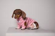 Dachshund Pink Ribbed Sweater with Patches MIST