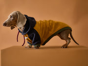 Dachshund Tricolor Hoodie Sweater GABRIELLE