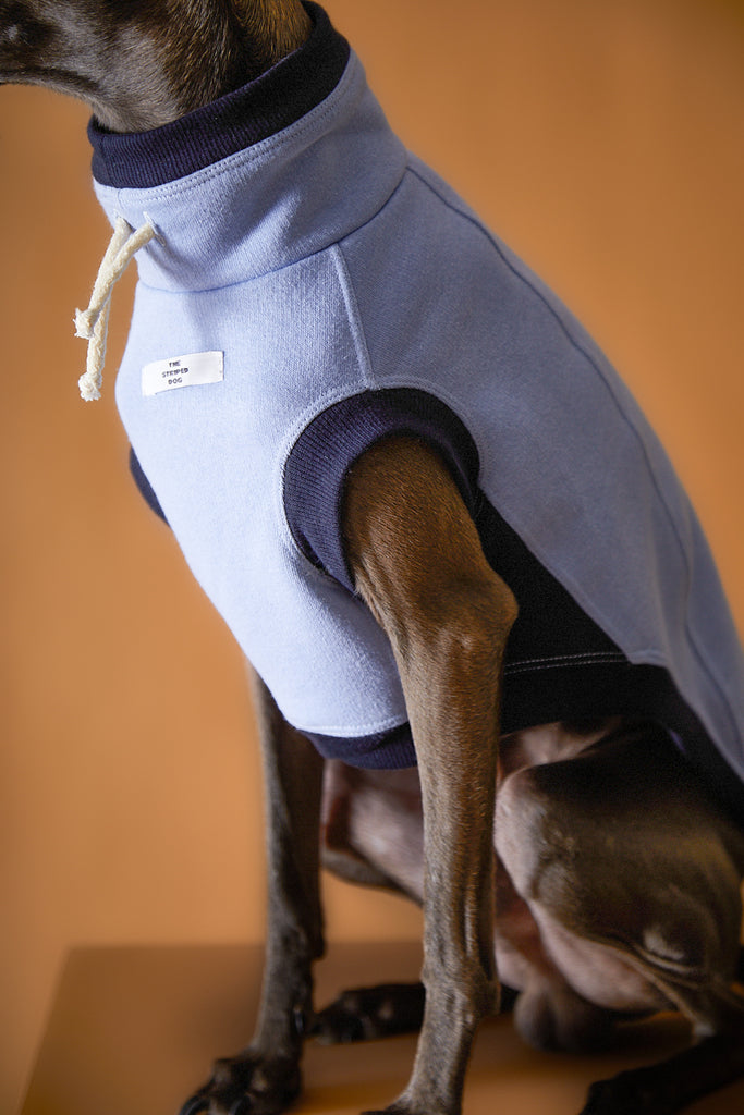 Italian Greyhound / Whippet Light Blue Turtleneck Vest SOPHIE