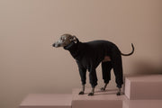 Italian Greyhound / Whippet Black Sherpa Jumpsuit Roma - PREORDER