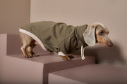 Dachshund Military Green Sweatshirt STONE