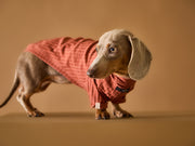 Dachshund Terracotta T-shirt CLAIRE