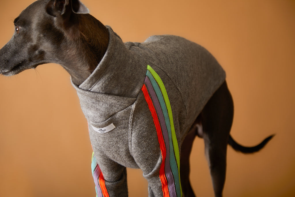 Iggy and Whippet sweater