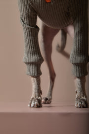Italian Greyhound / Whippet Military Green Sweater with Zipper KNIT