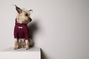 Standard High-Neck Burgundy Sweater DUSK