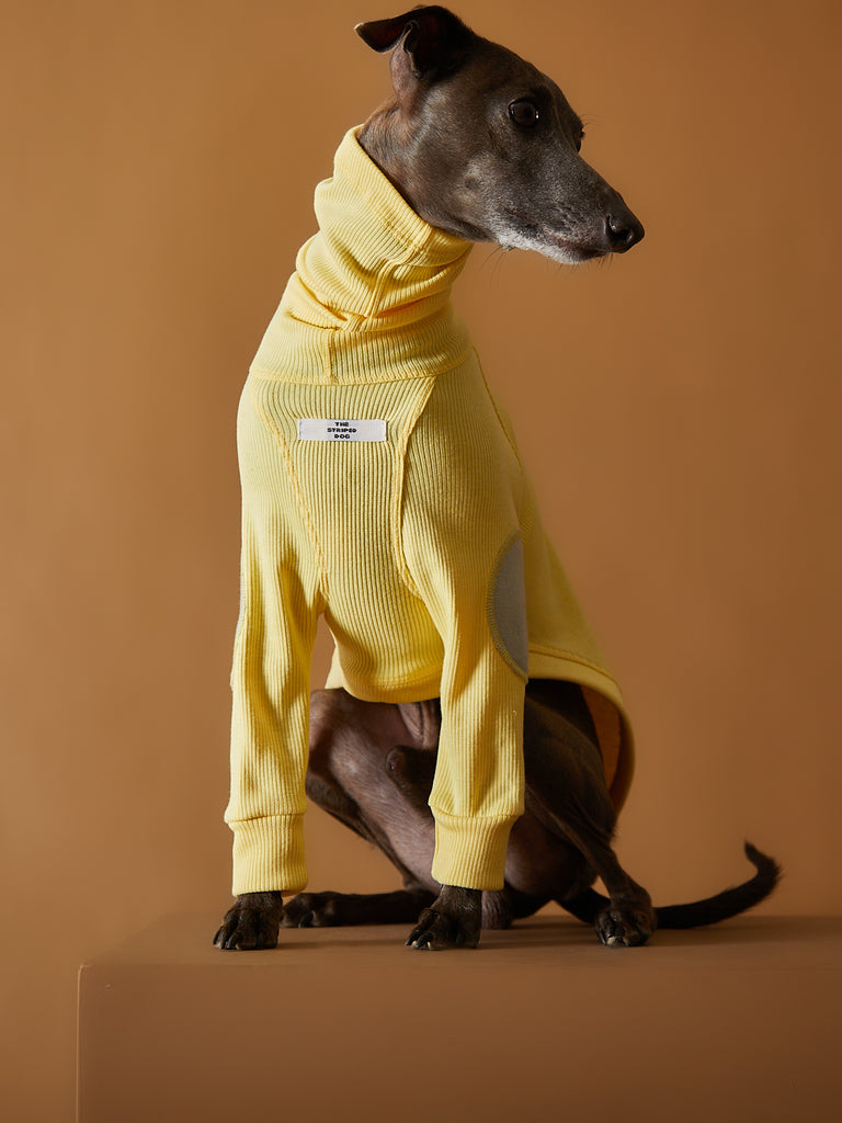 Italian Greyhound / Whippet Ribbed Turtleneck Sweater TULERIE