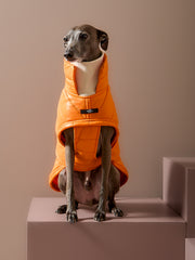 Italian Greyhound / Whippet Orange Turtleneck Puffer Jacket EMBER