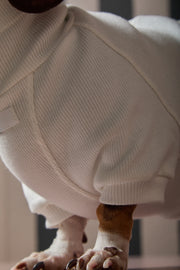 Dachshund Cream Turtleneck Sweater COVE