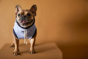 Light Blue Turtleneck Vest SOPHIE