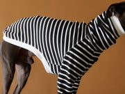 Italian Greyhound / Whippet Striped Turtleneck Sweater ELOISE