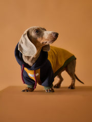 Dachshund Tricolor Hoodie Sweater GABRIELLE