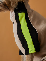 Turtleneck Sweater BELLE