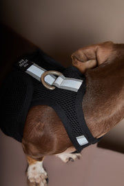 Black Neoprene Harness DRIFT