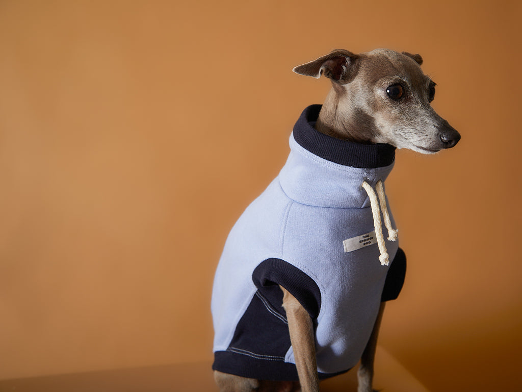 Italian Greyhound / Whippet Light Blue Turtleneck Vest SOPHIE