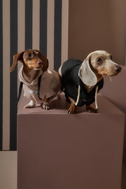 Dachshund Black Textured Hooded Vest BIRCH