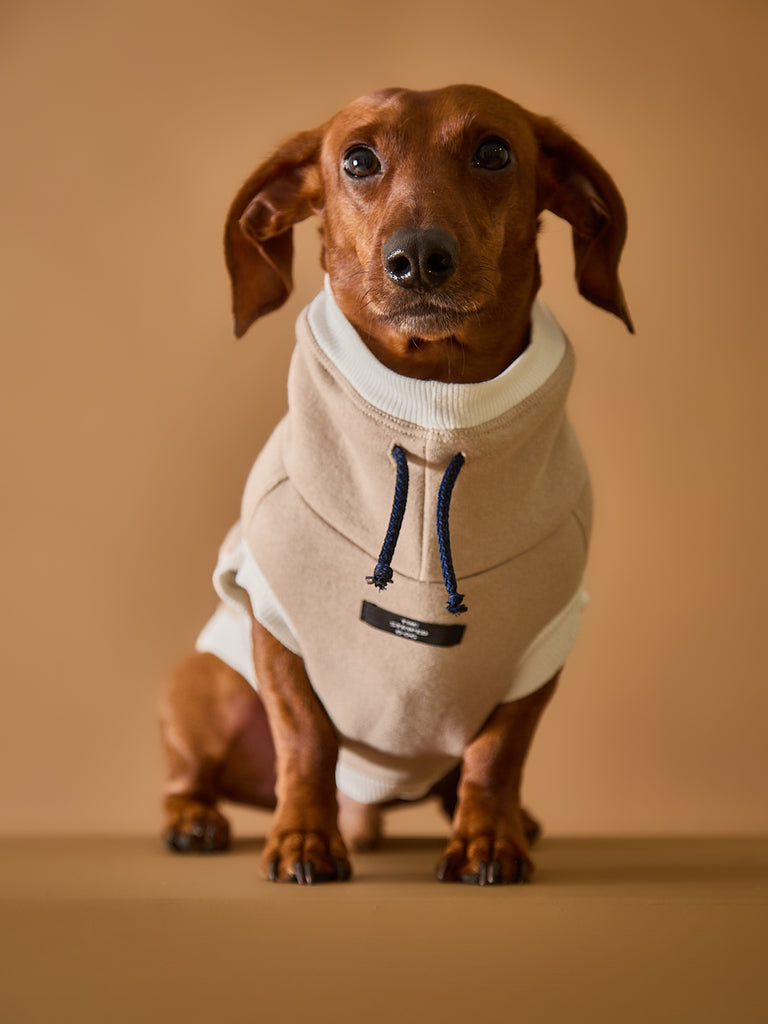 Dachshund Sand Turtleneck Vest SOPHIE