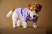 Lilac T-shirt BALZAC
