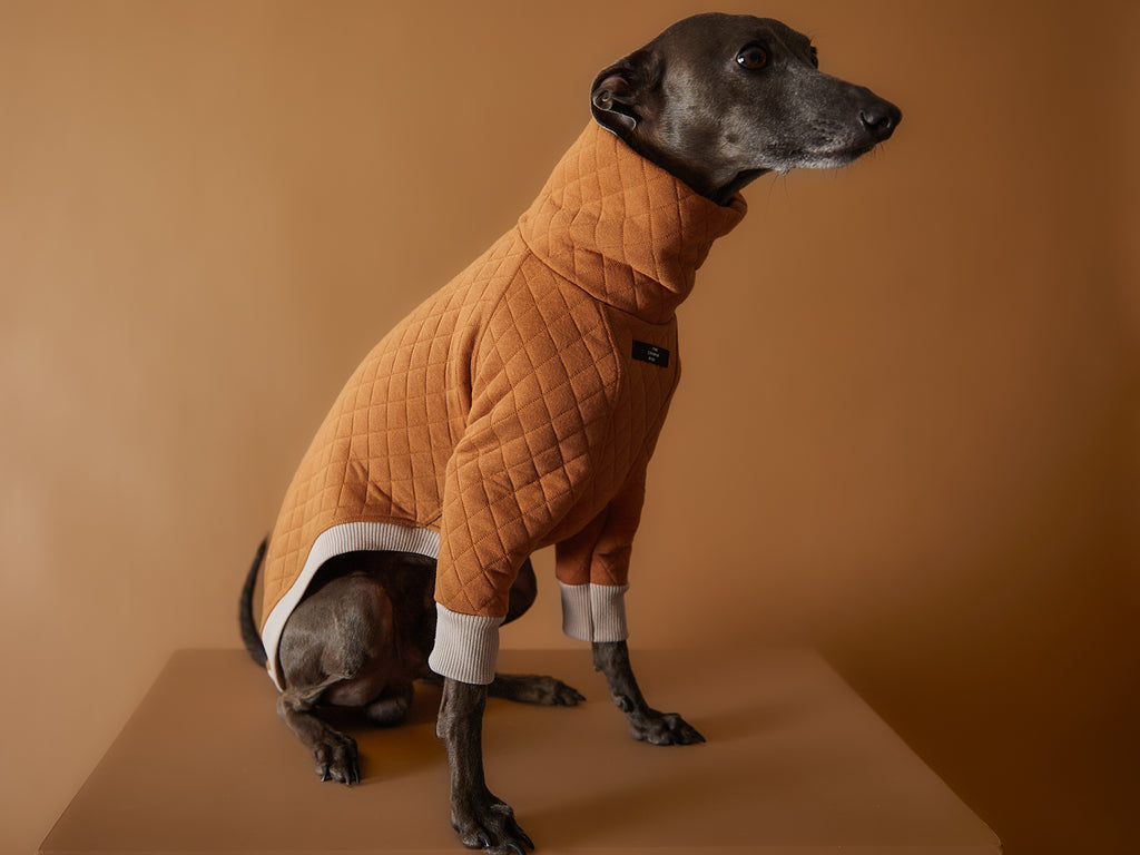 Italian Greyhound / Whippet Terracotta Quilted Turtleneck Sweater BAGUETTE