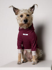 Standard High-Neck Burgundy Sweater DUSK