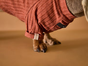 Dachshund Terracotta T-shirt CLAIRE