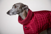 Italian Greyhound / Whippet Quilted Turtleneck Coat VELA