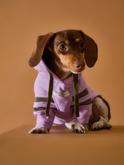 Dachshund Lilac Hoodie BRIE