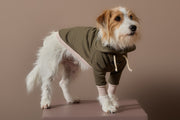 Military Green Sweatshirt STONE