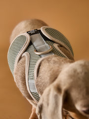 Light Grey Neoprene Harness with Reflective Stripe CLAREMONT