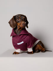 Dachshund High-Neck Burgundy Sweater DUSK