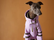 Italian Greyhound / Whippet Lilac Hoodie BRIE