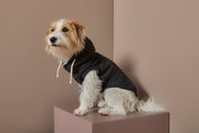 Black Textured Hooded Vest BIRCH