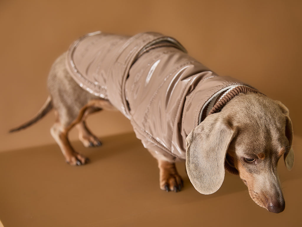 Dachshund Taupe Waterproof Turtleneck Jacket RUE