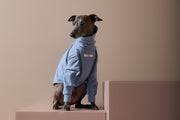 Italian Greyhound / Whippet Light Blue Turtleneck Sweater with Patches CAIRO