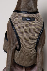 Italian Greyhound / Whippet Brown & Black Mesh Harness COBBLESTONE