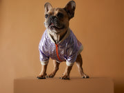 Metallic Lilac Bomber Jacket with Zipper OPERA