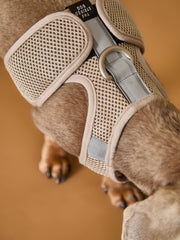 Sand Neoprene Harness with Reflective Stripe CLAREMONT