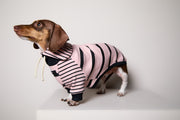 Dachshund Pink and Black Striped Sweater LINE