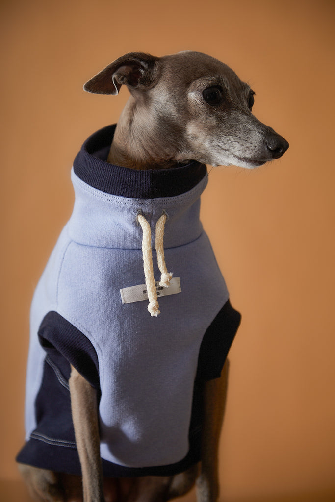 Italian Greyhound / Whippet Light Blue Turtleneck Vest SOPHIE