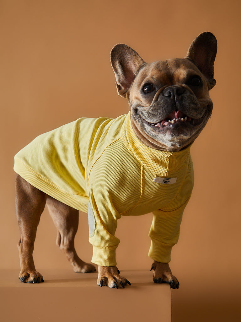 Ribbed Turtleneck Sweater TULERIE