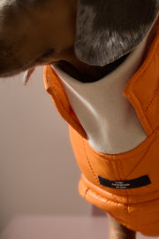 Dachshund Orange Puffer Turtleneck Jacket EMBER