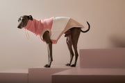 Italian Greyhound / Whippet Color-Block Turtleneck Vest SHEAR