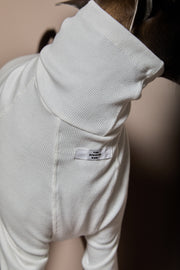 Italian Greyhound / Whippet Cream Turtleneck Sweater COVE