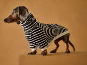 Dachshund Striped Turtleneck Sweater ELOISE
