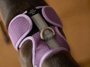Italian Greyhound / Whippet Lilac Neoprene Harness with Reflective Stripe CLAREMONT