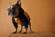Tricolor Hoodie Sweater GABRIELLE