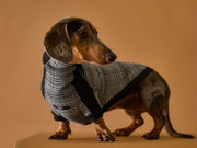 Dachshund Plaid Black and White Jacquard Turtleneck Sweater YVES